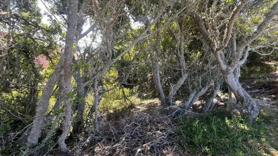 Commercial Property for Sale in Paradise Beach Eastern Cape